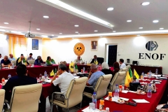 Groupe-Sonarem3