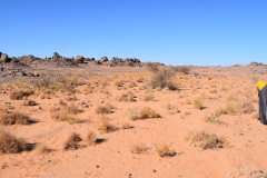 Mission-Scientifique-au-Parc-National-du-Tassil20