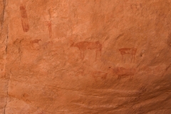 Mission-Scientifique-au-Parc-National-du-Tassil21