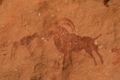 Mission-Scientifique-au-Parc-National-du-Tassil23