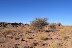 Mission-Scientifique-au-Parc-National-du-Tassil26