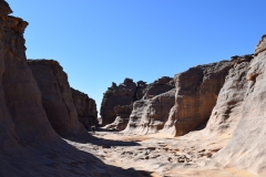 Mission-Scientifique-au-Parc-National-du-Tassil27