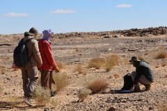 Mission-Scientifique-au-Parc-National-du-Tassili05