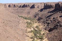 Mission-Scientifique-au-Parc-National-du-Tassili08