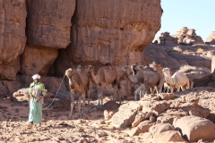 Mission-Scientifique-au-Parc-National-du-Tassili09