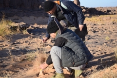 Mission-Scientifique-au-Parc-National-du-Tassili14