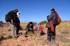 Mission-Scientifique-au-Parc-National-du-Tassili17