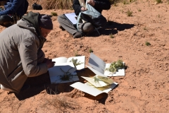 Mission-Scientifique-au-Parc-National-du-Tassili18