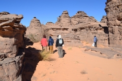 Mission-Scientifique-au-Parc-National-du-Tassili19